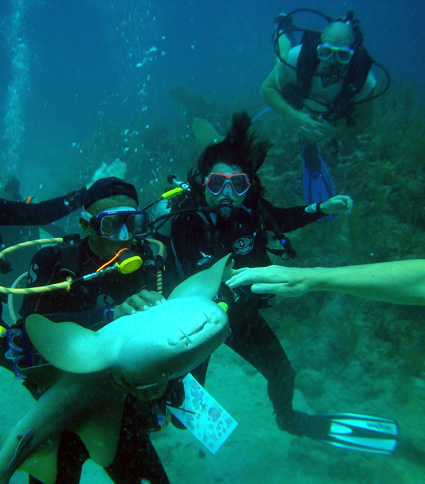 Petting a nurse shark in Belize.